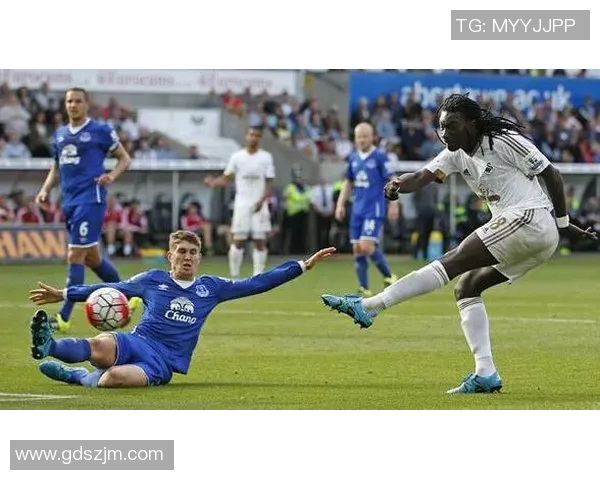 埃弗顿与西布罗姆维奇精彩对决录像回顾及赛后分析 埃弗顿与西布罗姆维奇精彩对决录像回顾及赛后分析