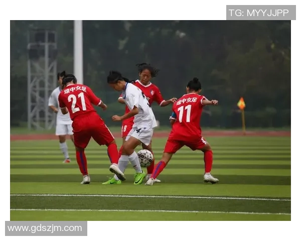 岐阜与岗山的对决分析探讨两队战术与球员表现的精彩瞬间