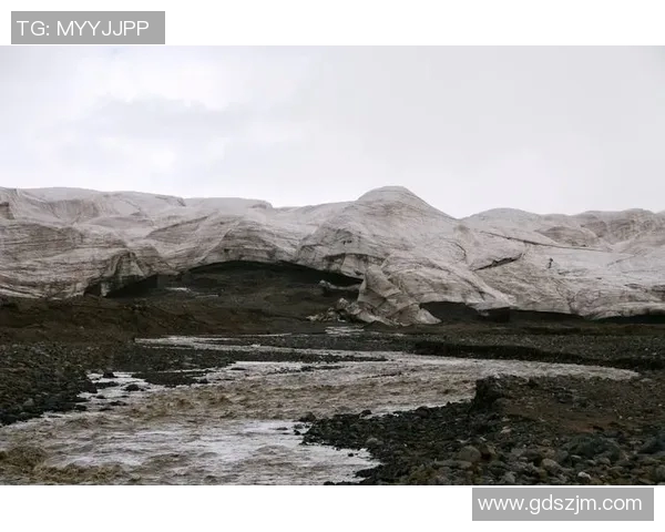 弗格的传奇旅程与时代变迁中的不屈精神探索