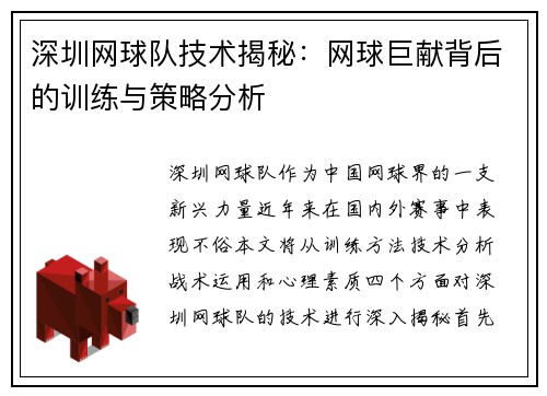 深圳网球队技术揭秘：网球巨献背后的训练与策略分析