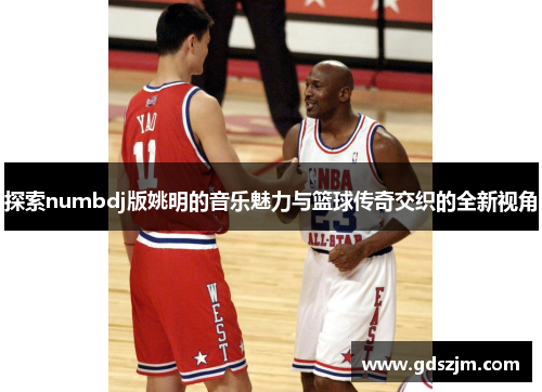 探索numbdj版姚明的音乐魅力与篮球传奇交织的全新视角