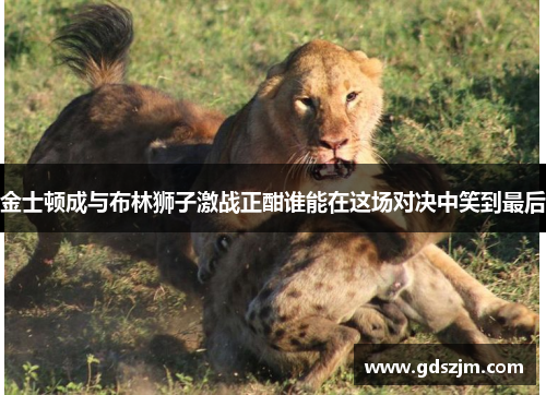 金士顿成与布林狮子激战正酣谁能在这场对决中笑到最后